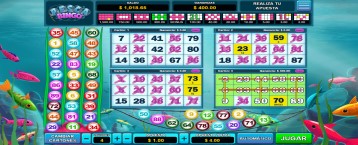 Pesca Bingo